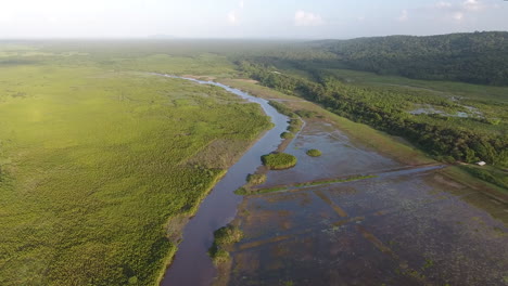 Luftdrohnenaufnahme-Des-Kaw-Sumpfes-In-Französisch-Guayana
